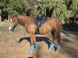 New! Southern Cross endurance saddle Under 7kg - Country Scene Saddlery and Pet Supplies