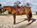 New! Syd Hill Flinders All Rounder Western Saddle - Country Scene Saddlery and Pet Supplies