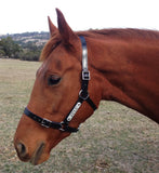 New!  PVC Halter Black - Stainless Steel Fittings with Engraved Horse Nameplate