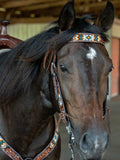 New! Southwestern Beaded - Country Scene Saddlery and Pet Supplies
