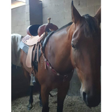 New! 6212 Proven Liberty Barrel Saddle Posted.*