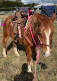 12", 13" Double T Youth Hard Seat Barrel style saddle - Country Scene Saddlery and Pet Supplies