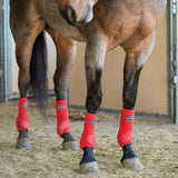 New! Apex Sport Boots- Plain Colours - Country Scene Saddlery and Pet Supplies