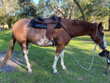 Syd Hill Premium Half Breed with Adjustable Tree Leather - Country Scene Saddlery and Pet Supplies