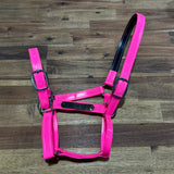 New! Custom PVC Halter with Engraved Horse Nameplate - Country Scene Saddlery and Pet Supplies