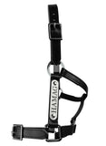New! PVC Halter Black - Stainless Steel Fittings with Engraved Horse Nameplate - Country Scene Saddlery and Pet Supplies