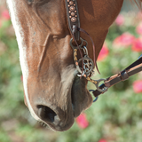 New! Classic Equine Sherry Cervi Short Shank Barrel Bit - Country Scene Saddlery and Pet Supplies