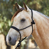 New! Flat Nose Mule Tape Halters - Country Scene Saddlery and Pet Supplies