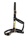 New! Custom PVC Halter with Engraved Horse Nameplate - Country Scene Saddlery and Pet Supplies