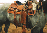 NEW! PRCA Calf Roper - Country Scene Saddlery and Pet Supplies