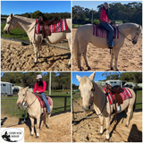 CSSR01 Custom Reining Saddle - Country Scene Saddlery and Pet Supplies
