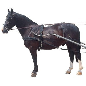 New! Equi-Web Nylon Driving Harness