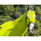 New! EQUINE COMPRESSION NECK AND HOOD COMBO ORIGINAL FLURO YELLOW - Country Scene Saddlery and Pet Supplies