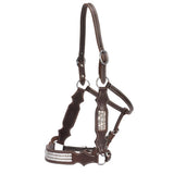 New! Fort Worth Dakota Leather Halter w/Bling - Country Scene Saddlery and Pet Supplies
