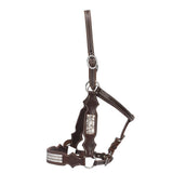 New! Fort Worth Dakota Leather Halter w/Bling - Country Scene Saddlery and Pet Supplies