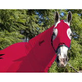 New! EQUINE COMPRESSION NECK AND HOOD COMBO ORIGINAL FUCHSIA - Country Scene Saddlery and Pet Supplies