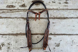 New! Tow Toned Browband Bridle - Country Scene Saddlery and Pet Supplies