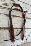 New! Tow Toned Browband Bridle - Country Scene Saddlery and Pet Supplies