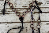 New! Ruby Rose Gold Concho Ring Tack Set - Country Scene Saddlery and Pet Supplies