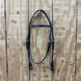 New! Showman Midnight Flora - Argentina Cow Leather Browband Headstall - Country Scene Saddlery and Pet Supplies
