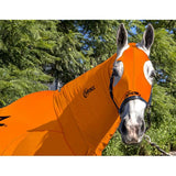 New! EQUINE COMPRESSION NECK AND HOOD COMBO ORIGINAL ORANGE - Country Scene Saddlery and Pet Supplies