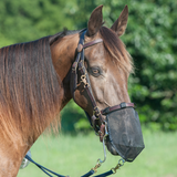 New! Cashel Quiet Ride Nose Net - Country Scene Saddlery and Pet Supplies