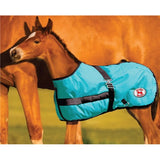 Thermo Master 600D Growing Foal Rug - Country Scene Saddlery and Pet Supplies