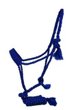 New! Flat Nose Mule Tape Halters - Country Scene Saddlery and Pet Supplies
