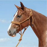 NEW! Cashel Flat Braid Rope Halter & Lead 9′ - Country Scene Saddlery and Pet Supplies