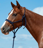NEW! Cashel Flat Braid Rope Halter & Lead 9′ - Country Scene Saddlery and Pet Supplies