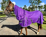 New! Ruby Rose Full Mesh Combo – Purple - Country Scene Saddlery and Pet Supplies