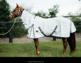 New! Ruby Rose Ripstop Combo Rug - Country Scene Saddlery and Pet Supplies