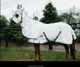 New! Ruby Rose Hooded Ripstop Cotton Rug - Country Scene Saddlery and Pet Supplies