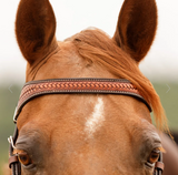 New! Schneiders® Tooled Concho Browband Ranch Headstall - Country Scene Saddlery and Pet Supplies