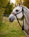New! Braided Rope Halter- Aztec