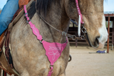 New! Pink Boot Stitch Headstall and Breast Collar Set - Country Scene Saddlery and Pet Supplies