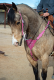 New! Pink Boot Stitch Headstall and Breast Collar Set - Country Scene Saddlery and Pet Supplies