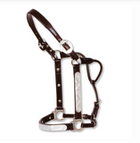 New! Engraved Silver Show Halter - Mare/2 Year Old - Country Scene Saddlery and Pet Supplies