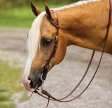 Billy Royal® Oiled Hermann Oak Performance One Ear Quick Change Headstall - In Stock in USA - Western bridle