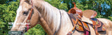 New! Silver Royal Youth Bee Saddle - Country Scene Saddlery and Pet Supplies