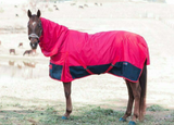 New! Ruby Rose 1200 Denier/200 gram lined Doona Combo - Country Scene Saddlery and Pet Supplies