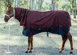 New! Ruby Rose 1200 Denier/200 gram lined Doona Combo - Country Scene Saddlery and Pet Supplies