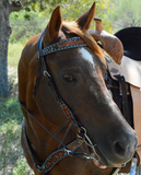 New! BRONCO BLUE TEXAS FLOWER BROWBAND HEADSTALL AND BREASTCOLLAR SET - Country Scene Saddlery and Pet Supplies