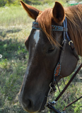 New! BRONCO BLUE TEXAS FLOWER BROWBAND HEADSTALL AND BREASTCOLLAR SET - Country Scene Saddlery and Pet Supplies