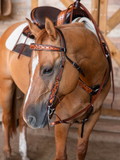 New! RENO BROWBAND - Country Scene Saddlery and Pet Supplies