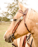 NEW! MONTANA BROWBAND HEADSTALL - Country Scene Saddlery and Pet Supplies