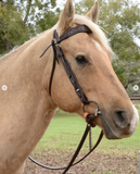 New! 2611 Bluestem Trail Saddle by Circle Y. - Country Scene Saddlery and Pet Supplies