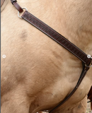 New! 2611 Bluestem Trail Saddle by Circle Y. - Country Scene Saddlery and Pet Supplies
