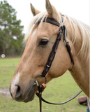 New! 2611 Bluestem Trail Saddle by Circle Y. - Country Scene Saddlery and Pet Supplies