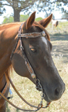 New! White Daisy Filigree Browband Headstall - Country Scene Saddlery and Pet Supplies